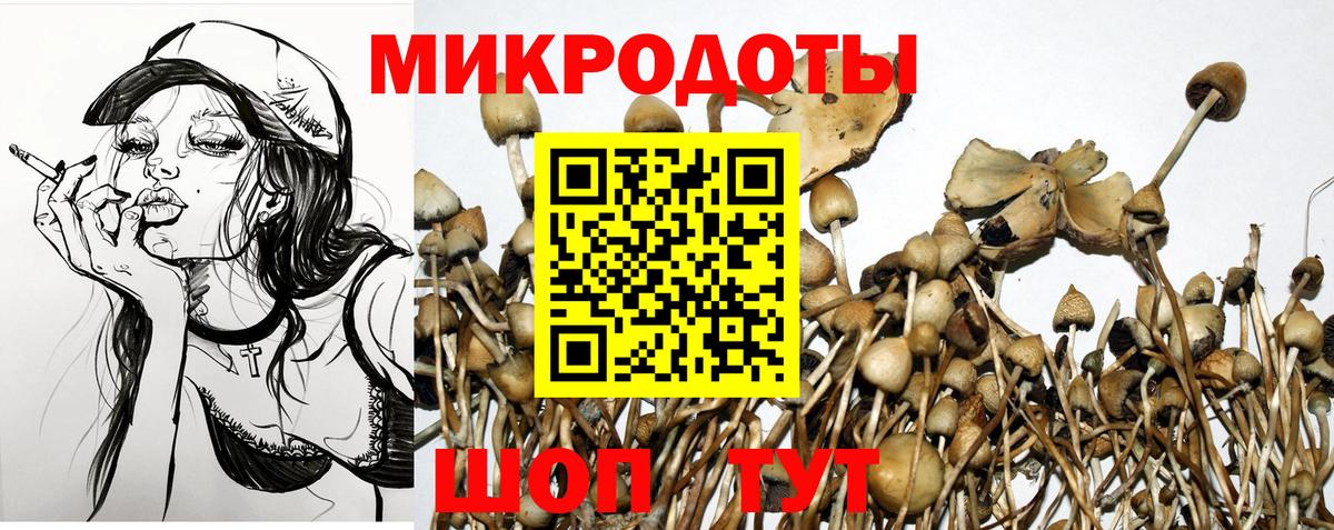 Псилоцибиновые грибы прущие грибы Алатырь