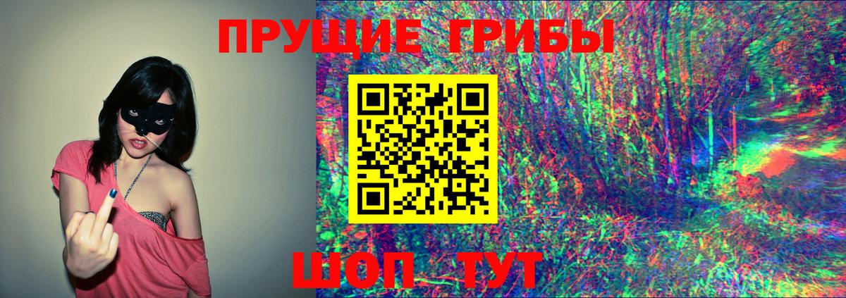 Алатырь  Псилоцибиновые грибы Cubensis  Вход с VPN 